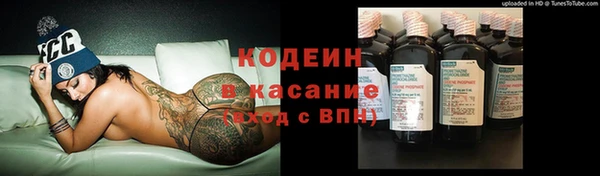 соль ск Липки