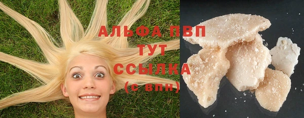 ГАЛЛЮЦИНОГЕННЫЕ ГРИБЫ Ладушкин