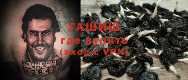 ГАЛЛЮЦИНОГЕННЫЕ ГРИБЫ Ладушкин