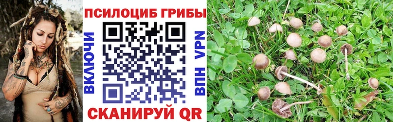 закладка  Луга  Галлюциногенные грибы Magic Shrooms 